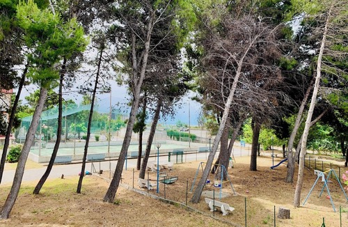 Nocera Scalo House | A pine forest by the sea