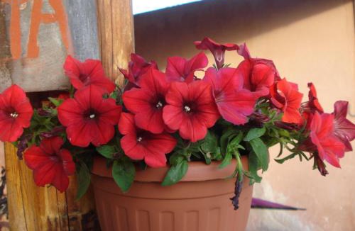 San Donato Val Di Comino House | Agriturismo La Fattoria
