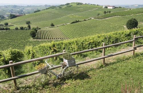 Nizza Monferrato House | Agriturismo Albarossa