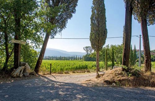 Arezzo Apartment | Agriturismo Albergotti