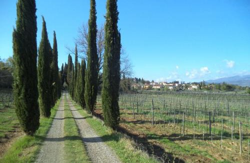 Arezzo Apartment | Agriturismo Albergotti