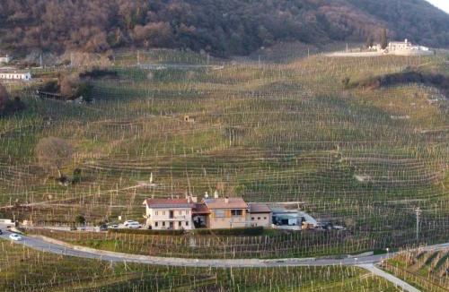 Valdobbiadene Bed & Breakfast | Agriturismo B&B Casa Bortolin