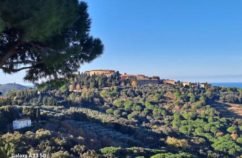 Castagneto Carducci Apartment | Agriturismo Bellavista apt La Pergola