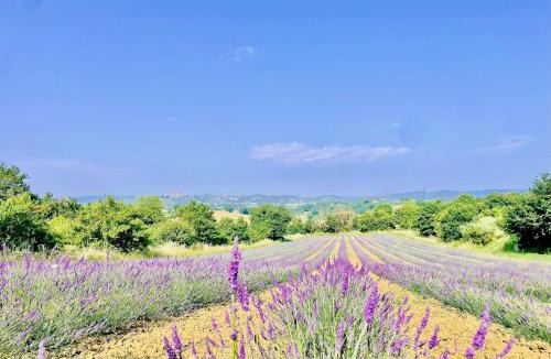 Pozzo House | Agriturismo CasaViVa