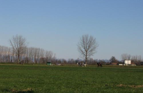 Spino d'Adda House | Agriturismo Cascina Gilli