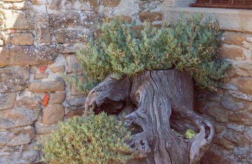 Arezzo House | Agriturismo con piscina in Toscana, Tribbiano