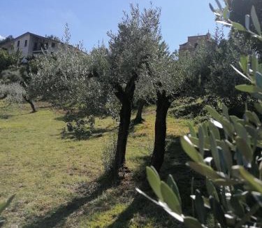 Guzman House | Agriturismo Etico Le Grazie