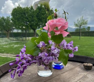 Beroide House | Agriturismo Il Casale Grande