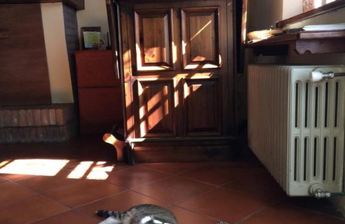 Carpena House | Agriturismo Il Pettirosso