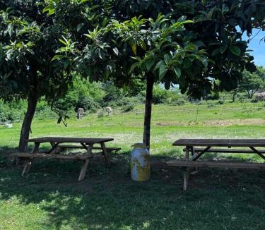 Villaggio Belmonte House | Agriturismo La Betulla