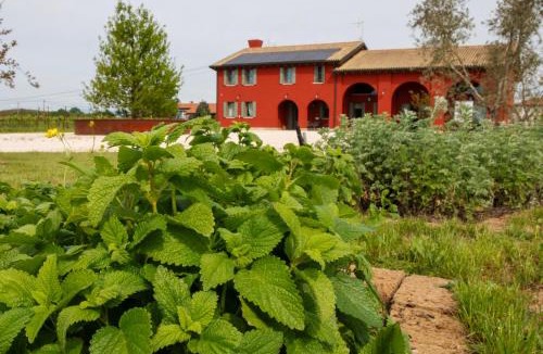 Silea House | Agriturismo La Rosarnetta