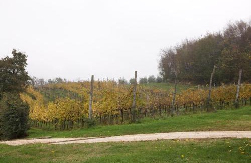 Arcugnano House | Agriturismo Marani