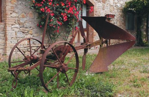Radicondoli Apartment | Agriturismo San Domenico-Il Roseto