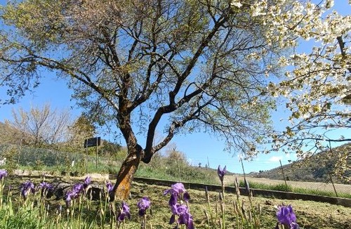 Vallo di Nera House | Agriturismo Terramia