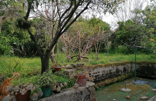 Ischia Ponte Apartment | Al Giardino