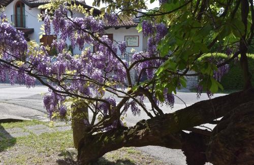 Savogna d'Isonzo Bed & Breakfast | Al Vecchio Glicine
