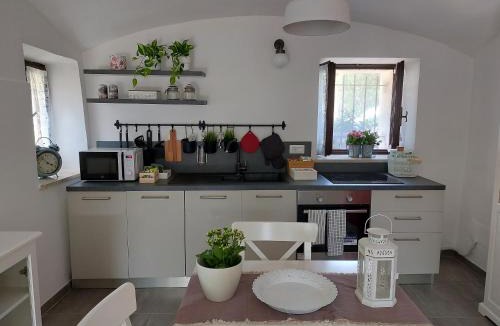 Cuneo House | Albero della vita