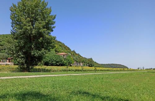 Barbarano Vicentino Apartment | Alloggio La Perla, quiete ed eleganza con vista