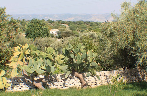 Casa Papa House | Ancient farmhouse in Sicily