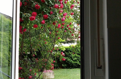Servola-Chiarbola-Valmaura-Borgo San Sergio Apartment | Apartment in villa with large garden, surrounded by greenery and tranquility
