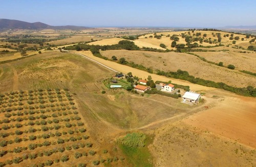 Grosseto Other | "Appartamento 3 - La Poiana" with Pool, Garden & Wi-Fi