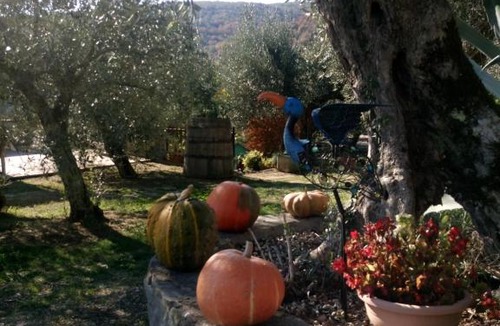 Tuoro sul Trasimeno Apartment | Appartamento Coccinella