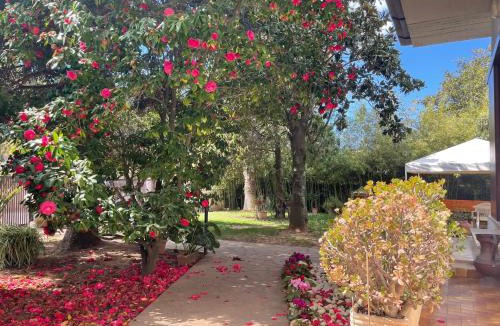 Bella Farnia Apartment | Appartamento in Villa con giardino vicino al mare