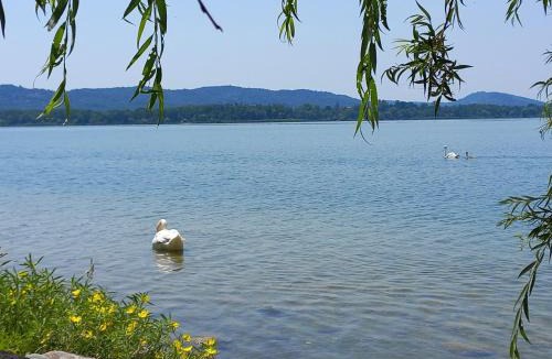 Morosolo Apartment | Appartamento Miralago con Giardino sul Lago