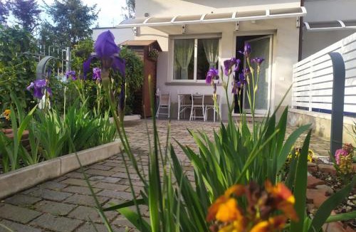 Province of Bologna Apartment | Appartamento Signorini Bolognaholidayhome - Parcheggio e Giardino privato - Holiday House Bologna Garden Parking