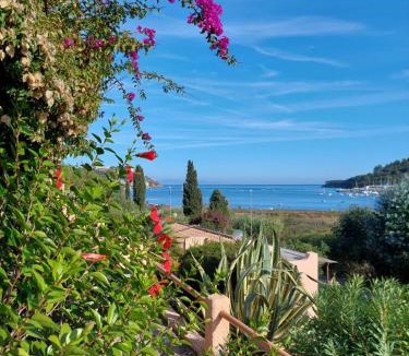 Mola Apartment | Appartamento Skipper