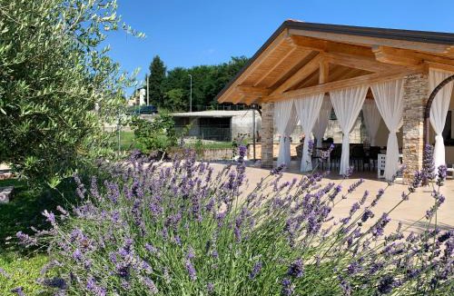Casnate Con Bernate Bed & Breakfast | B&B Alciliegio