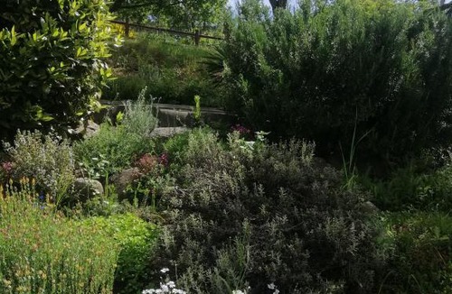 Pavana Bed & Breakfast | B&B Clara's Garden