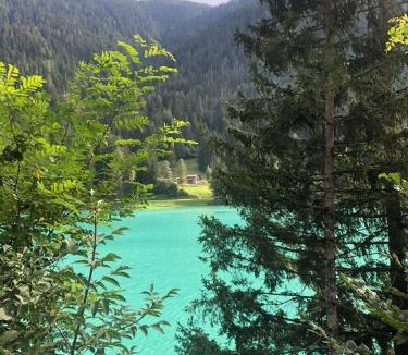 Venas di Cadore Apartment | B&B Dolomiti