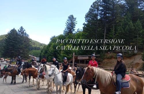 Cotronei Bed & Breakfast | B&B IN Family