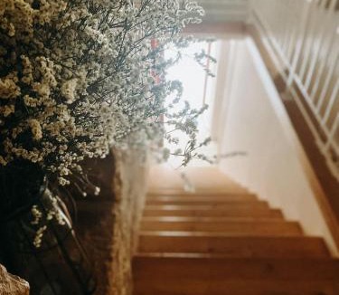 Bisceglie Bed & Breakfast | B&B MARNUDD