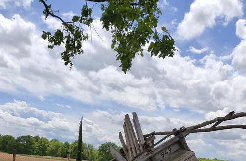 Ferretto Villa | Beautifully Decorated Property Surrounded by Vineyards'.