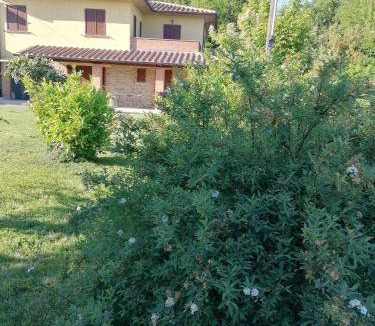 Civitella in Val di Chiana Bed & Breakfast | Bed and breakfast ∙ 2 guests
