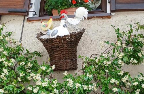 Frassino Bed & Breakfast | Bed & Breakfast Barba Bertu
