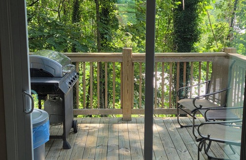 Mountain City House | Black Rock Mountain Get Away - Clayton, GA