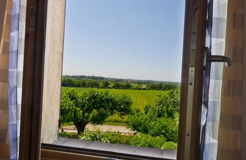 San Benedetto di Lugana House | Borgo San Donino - Selva Capuzza