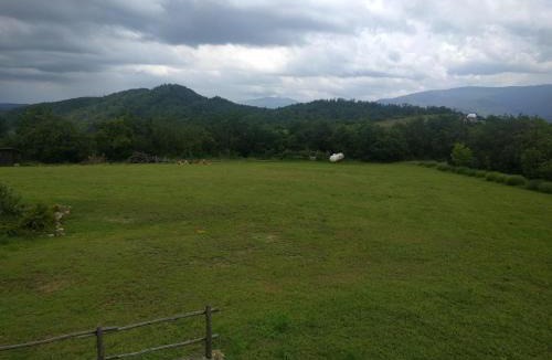 Cecima House | Ca' del Monte Resort