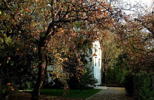 Azzanello Bed & Breakfast | Ca' Marsure B&B