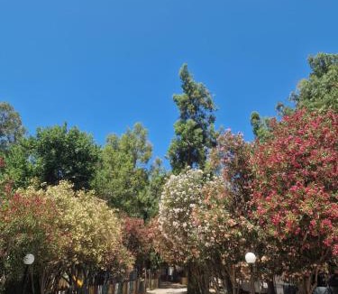 Rossano Other | Camping Pitagora