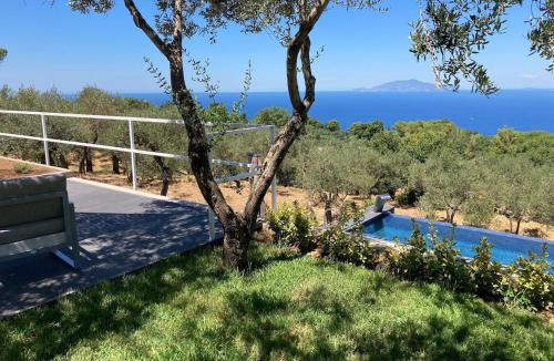 Anacapri Villa | “CapriOleum” esclusive place