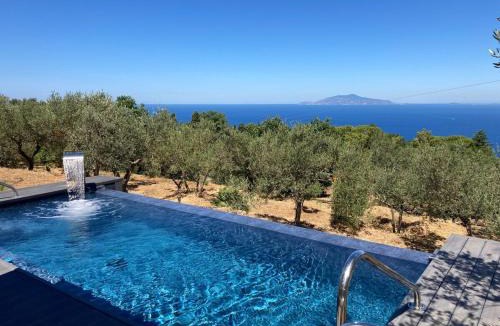 Anacapri Villa | “CapriOleum” esclusive place