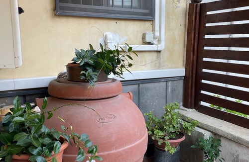 Pompei House | Carla's studio
