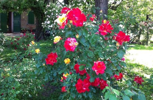 Soliera Bed & Breakfast | Casa a Soliera