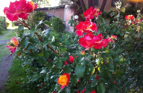 Soliera Bed & Breakfast | Casa a Soliera