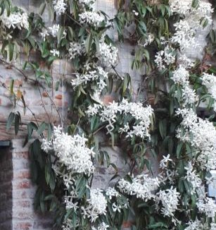Clauiano Bed & Breakfast | Casa Barnaba-Manin