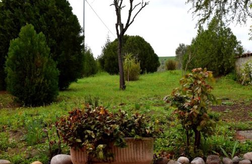 Bellante Villa | Casa Carletto, Abruzzo